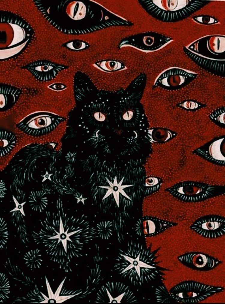 cat-sitting-on-red-with-lot-of-eyes