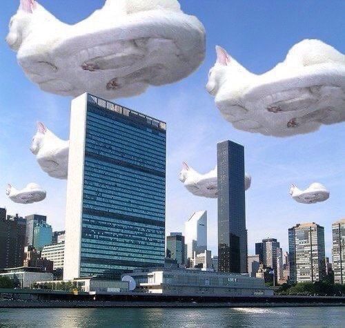 invasion-of-flying-cats